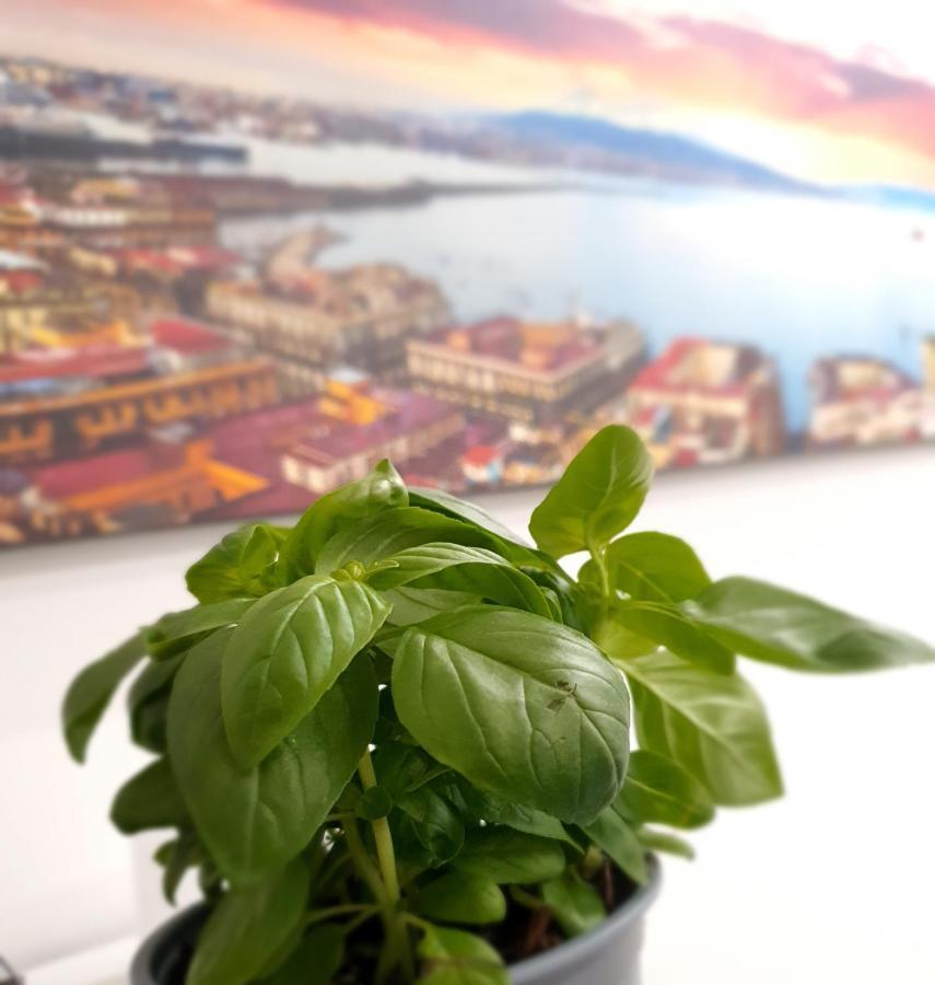Gaisa Naples - Bed And Breakfast Exteriör bild